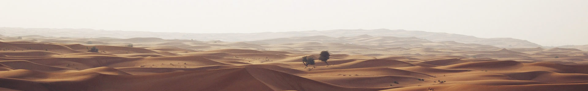 ݣó޹˾